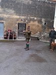 Bringtreueprüfung in Mürzzuschlag